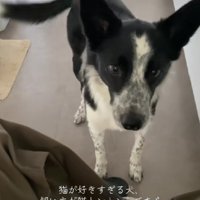 「いじめないでね！！」