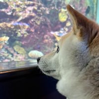 目が