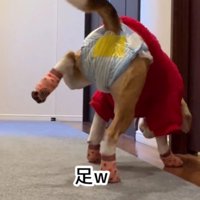 おやつを食べてると…