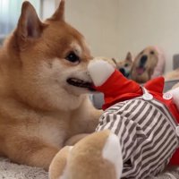 「まだダメ！」