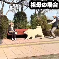 ニコニコで駆け寄る