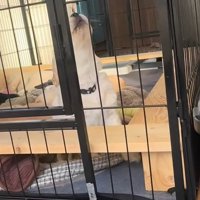 「ママ、どこ～！！」