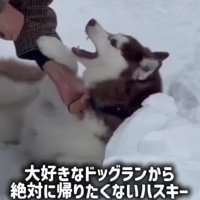 「いやだ～！！」