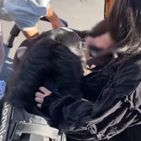 赤ちゃんにご挨拶