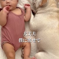 赤ちゃんの隣で伏せる犬