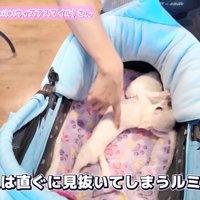 体をピーン♪