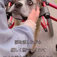 ロノちゃんの反応は…