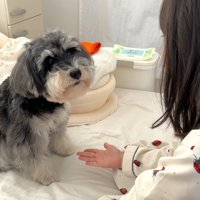 長女ちゃんとジジちゃん