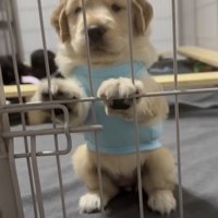 「出してよぉ」