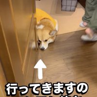 ふてくされてる…
