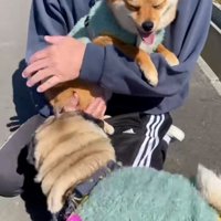 抱っこされる姫ちゃん