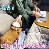 おじいちゃんとはなちゃん