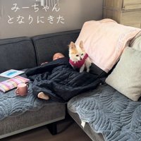 隣にお座り