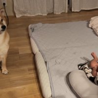「早く来て！」