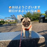 ひなちゃん