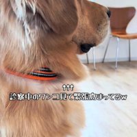 「早く帰りたい」