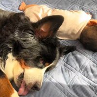 とにかくそばにいたいようです♡