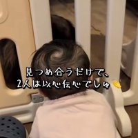 見つめあうふたり