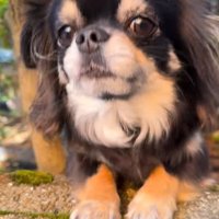 まる君とお姉ちゃんの再会3