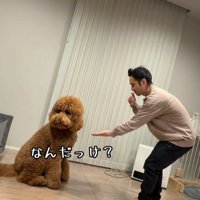「おかわり？」