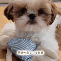 おもちゃを干した時のちゃぽちゃん⑩