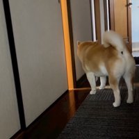 本当のお兄ちゃんみたい