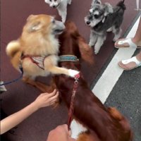 みんなに慕われるトワくん