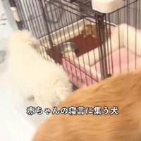また寝ちゃった…