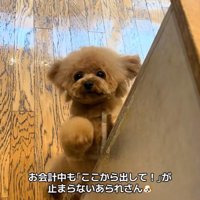 「早くそっちにいきたいよ～」