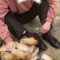 仰向けになってお腹を見せる犬