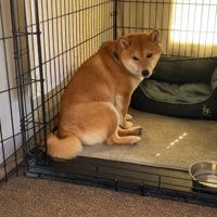 お利口さん♪