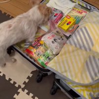 「いい感じのスペースがあるじゃん♪」