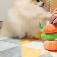 容赦なくパンチ！
