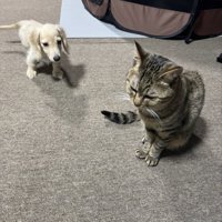 仲良し