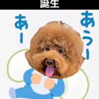 一球ちゃんとの出会いの物語