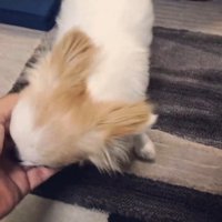 ちゃんと来てくれました！