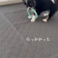 「もう～っ、なんで取れないんだよ！」