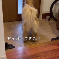 ドアの真ん前で待ち構えます
