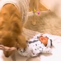 くららちゃんと赤ちゃん