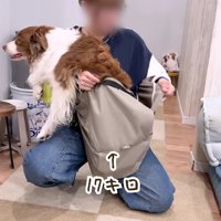 抱っこ紐に入れてみると…