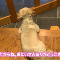 「また来ないかな？」と玄関で待機