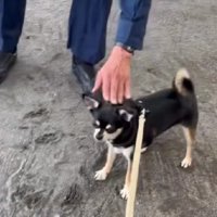 ちょっぴり不満だけど…