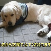 ギンちゃんの表情の変化2