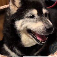 「楽しかった」