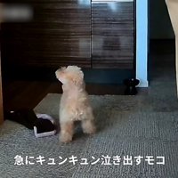 実家に戻ることに