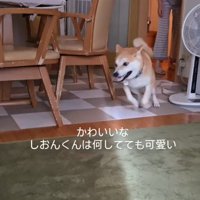 普段は元気いっぱい