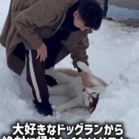 全然動かない…
