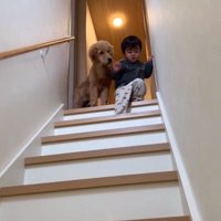 弟くんを見るころもちゃん