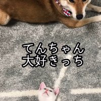 てんちゃんを親のように慕う