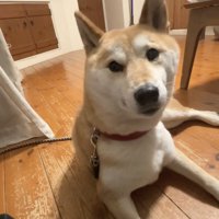 今度こそ…！？